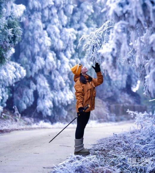 桂北之巅冰雪秘境！真宝顶云海雾凇上线