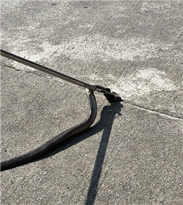 你不冬眠，想咋的？