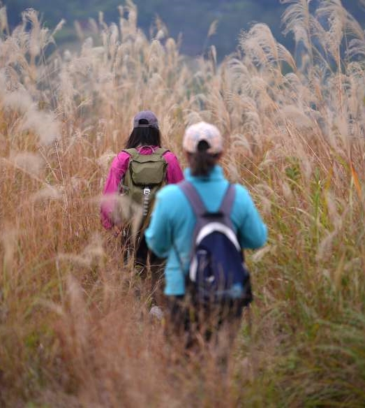 临桂留心岭的绝美徒步路线来了
