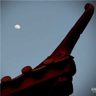 20260129，拍照学练