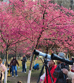 春天的脚步近啦