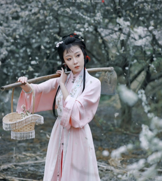 平乐掉下个林妹妹