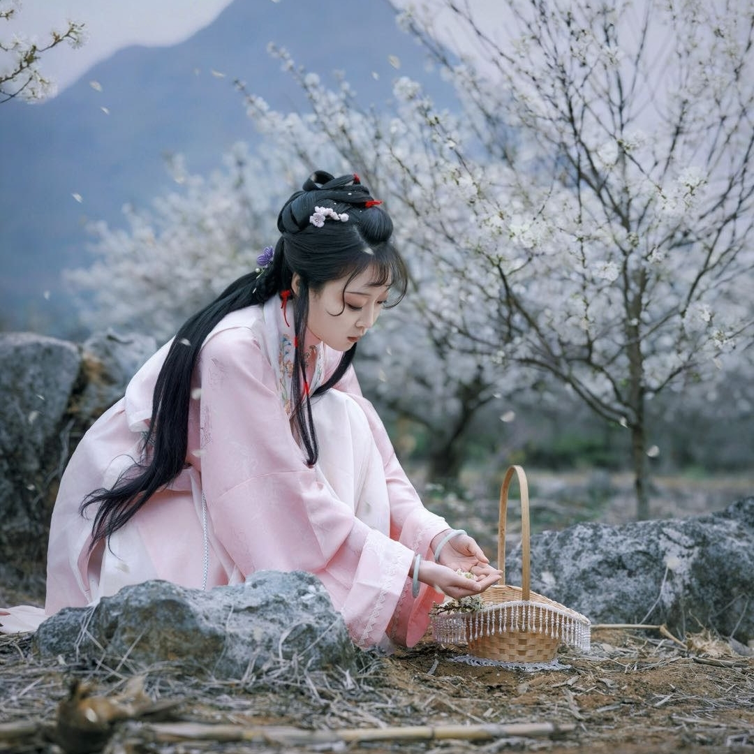 天上掉下个林妹妹