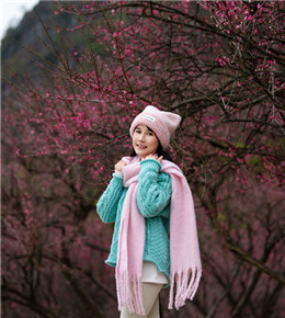 穿山公园梅花开