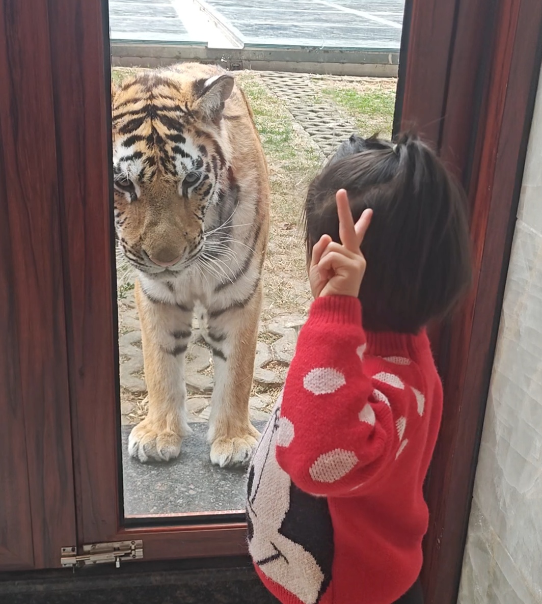 四年后，重住平南老虎酒店