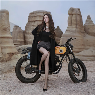 一半优雅，一半锋芒