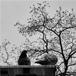 20260212，拍照学练