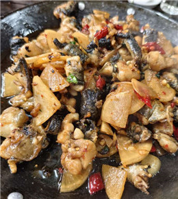 桂林78岁的厨师只做四个菜