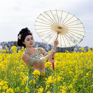 车田村油菜花开