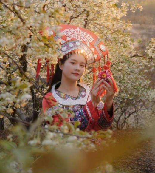 赴一场春日“雪色浪漫”