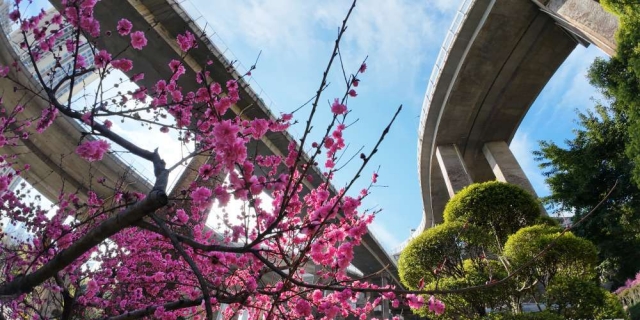 换个角度看风景，美无处不在