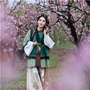 桃之夭夭，灼灼其华