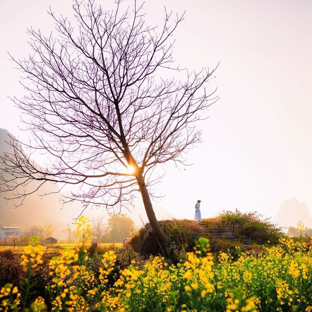 春天的铜桥原来这么美