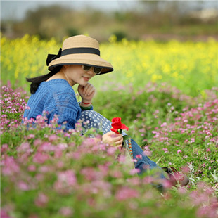 一抹紫韵，惊艳了整个春天