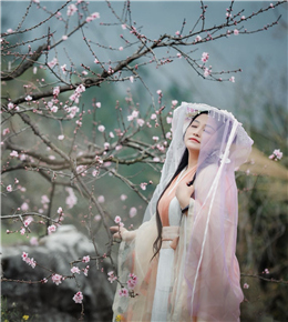 终于等到海洋桃花盛开了