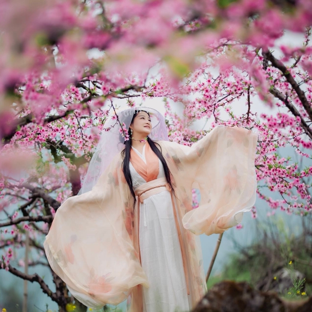 终于等到海洋桃花盛开了