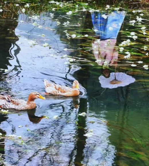 一条会开花的河，一路繁花美到封神