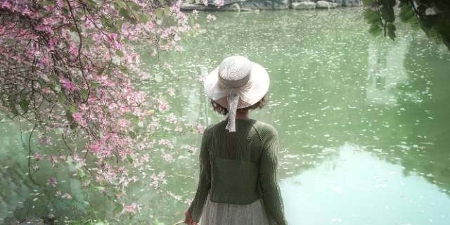 今年长岛的紫荆花